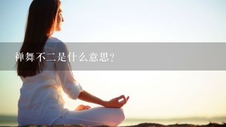 禅舞不2是什么意思？