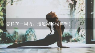 怎样在1周内，迅速减掉蝴蝶臂？