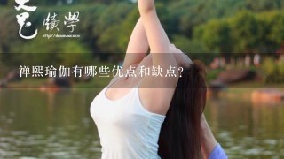 禅熙瑜伽有哪些优点和缺点？