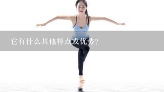 它有什么其他特点或优势