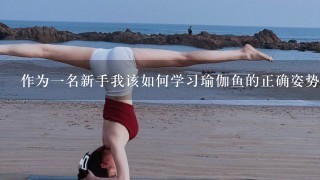 作为一名新手我该如何学习瑜伽鱼的正确姿势以及如何提高我的技术水平