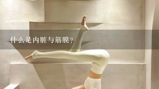 什么是内脏与筋膜